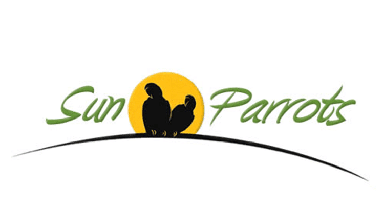 sun-parrots